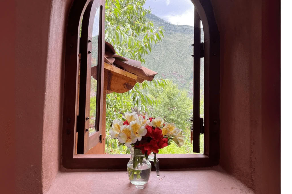 Amazon - Blue Morpho Lodge 3 ayahuasca & 1 San Pedro