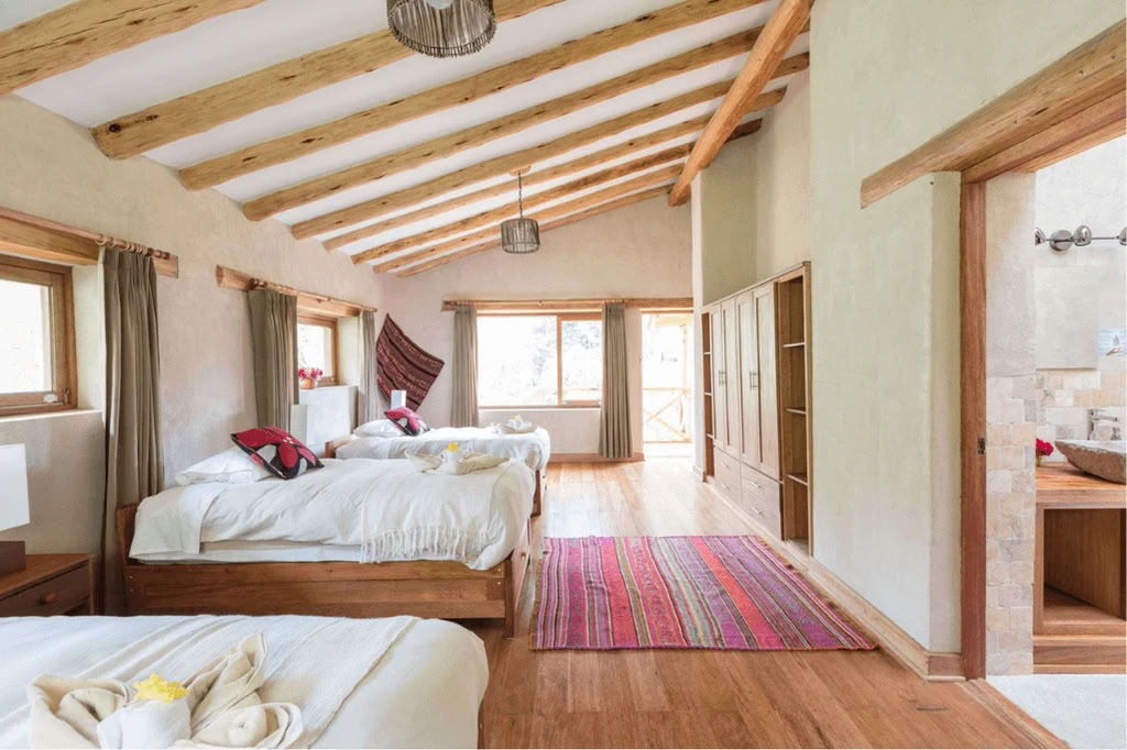 Amazon - Blue Morpho Lodge 3 ayahuasca & 1 San Pedro