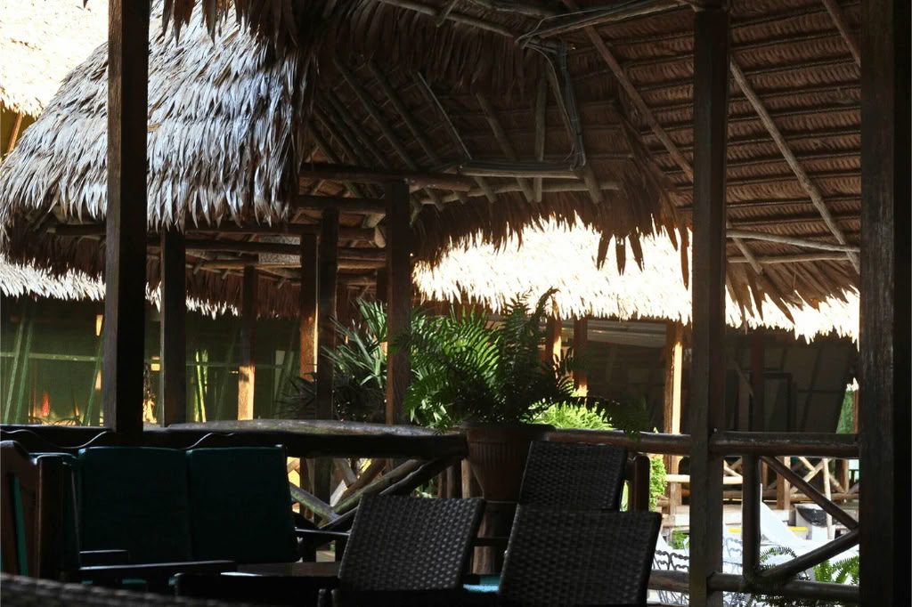 Amazon - Blue Morpho Lodge 3 ayahuasca & 1 San Pedro