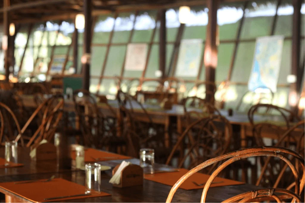 Amazon - Blue Morpho Lodge 3 ayahuasca & 1 San Pedro