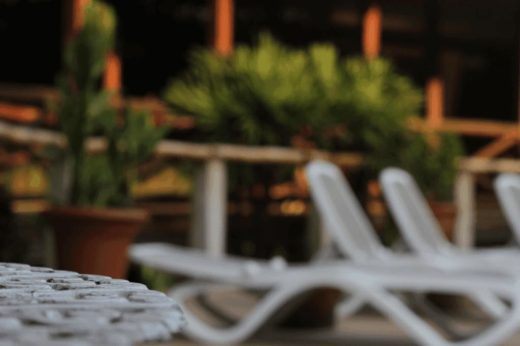 Amazon - Blue Morpho Lodge 3 ayahuasca & 1 San Pedro