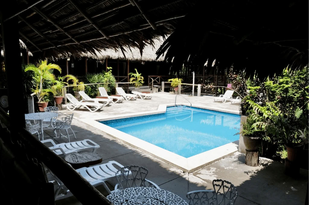 Amazon - Blue Morpho Lodge 3 ayahuasca & 1 San Pedro