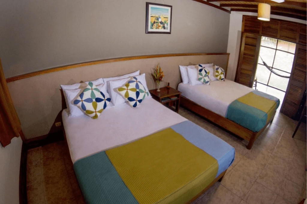 Amazon - Blue Morpho Lodge 3 ayahuasca & 1 San Pedro