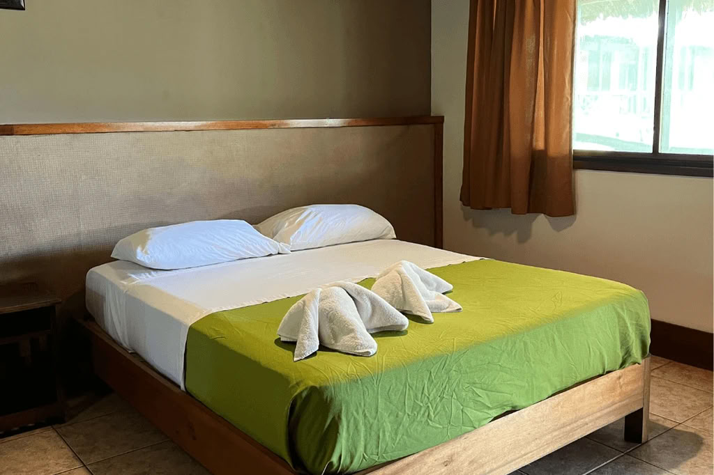 Amazon - Blue Morpho Lodge 3 ayahuasca & 1 San Pedro