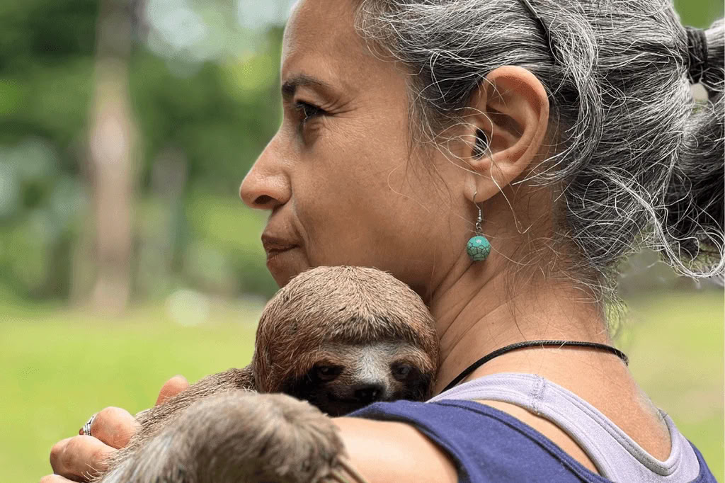 Amazon - Blue Morpho Lodge 3 ayahuasca & 1 San Pedro