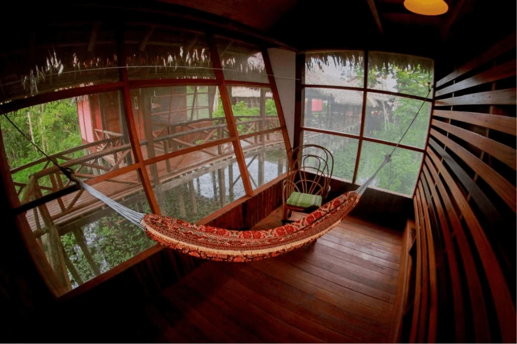 Amazon - Blue Morpho Lodge 3 ayahuasca & 1 San Pedro