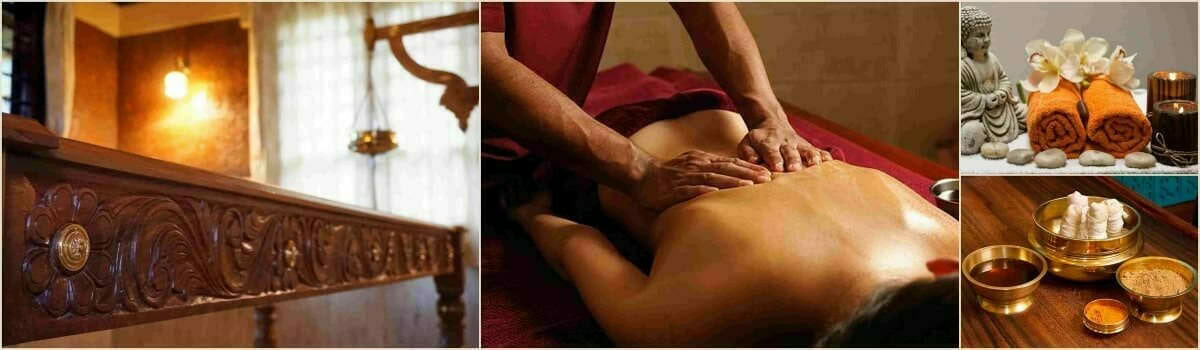 Ayurveda Course (Foundation) – August 2026