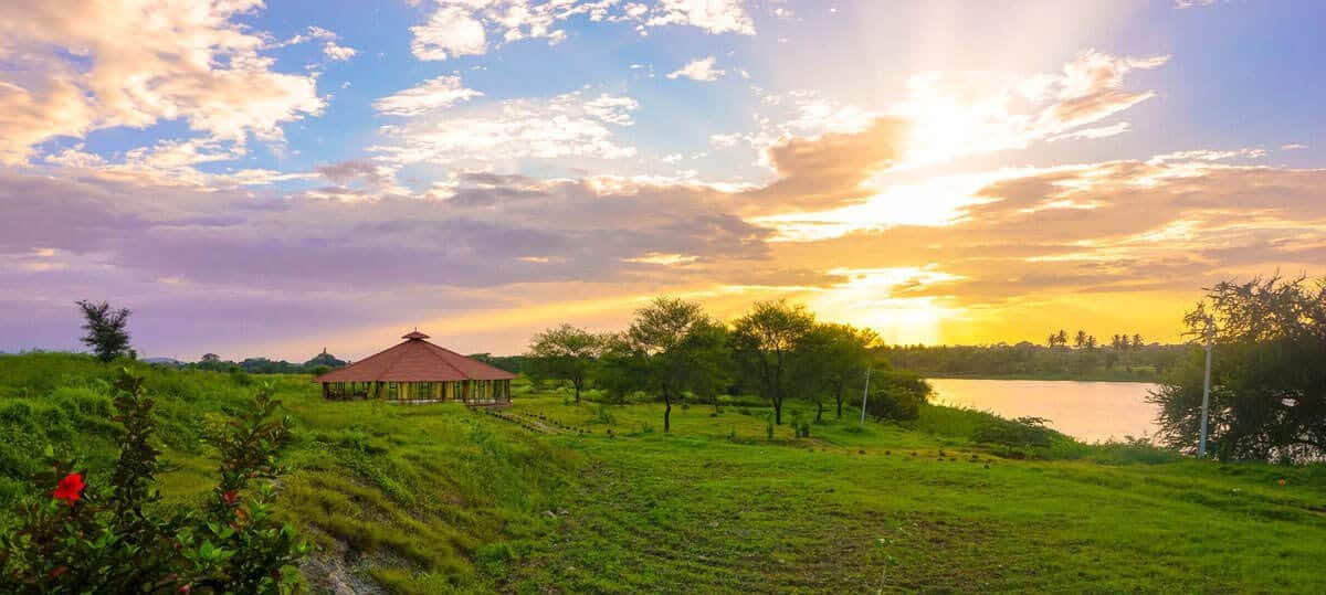200 Hours Yoga Teacher Training in India – June 10 - July 8, 2026