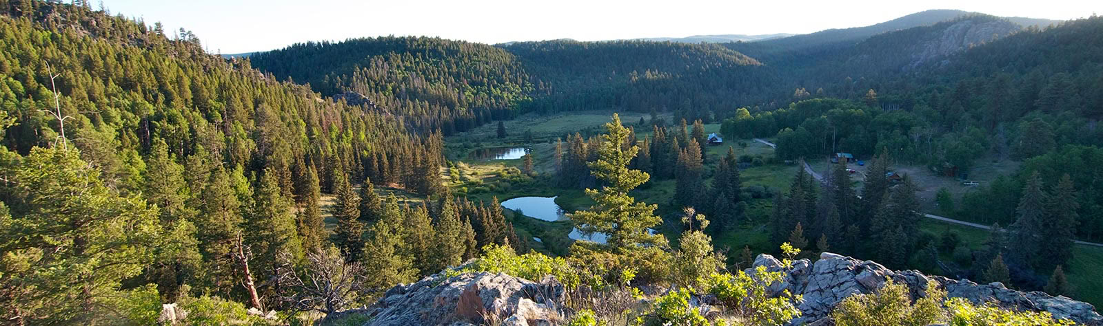 Finding Joy in the Playground of the Mind: An Insight Retreat