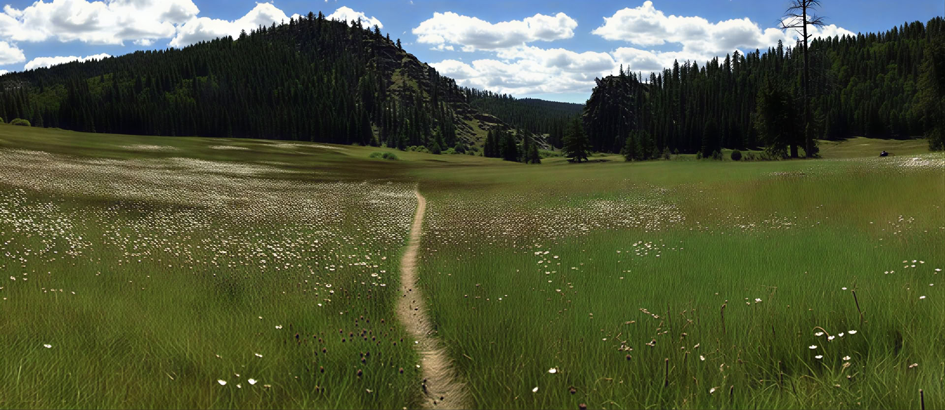 Finding Joy in the Playground of the Mind: An Insight Retreat