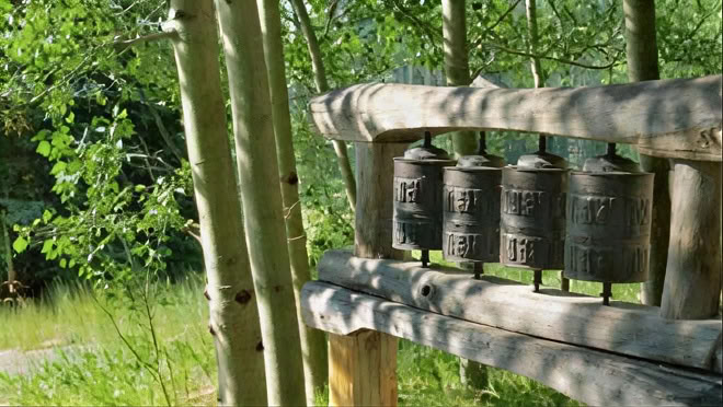 Awake in the Wild (October): Exploring Wisdom and Awakening in Nature