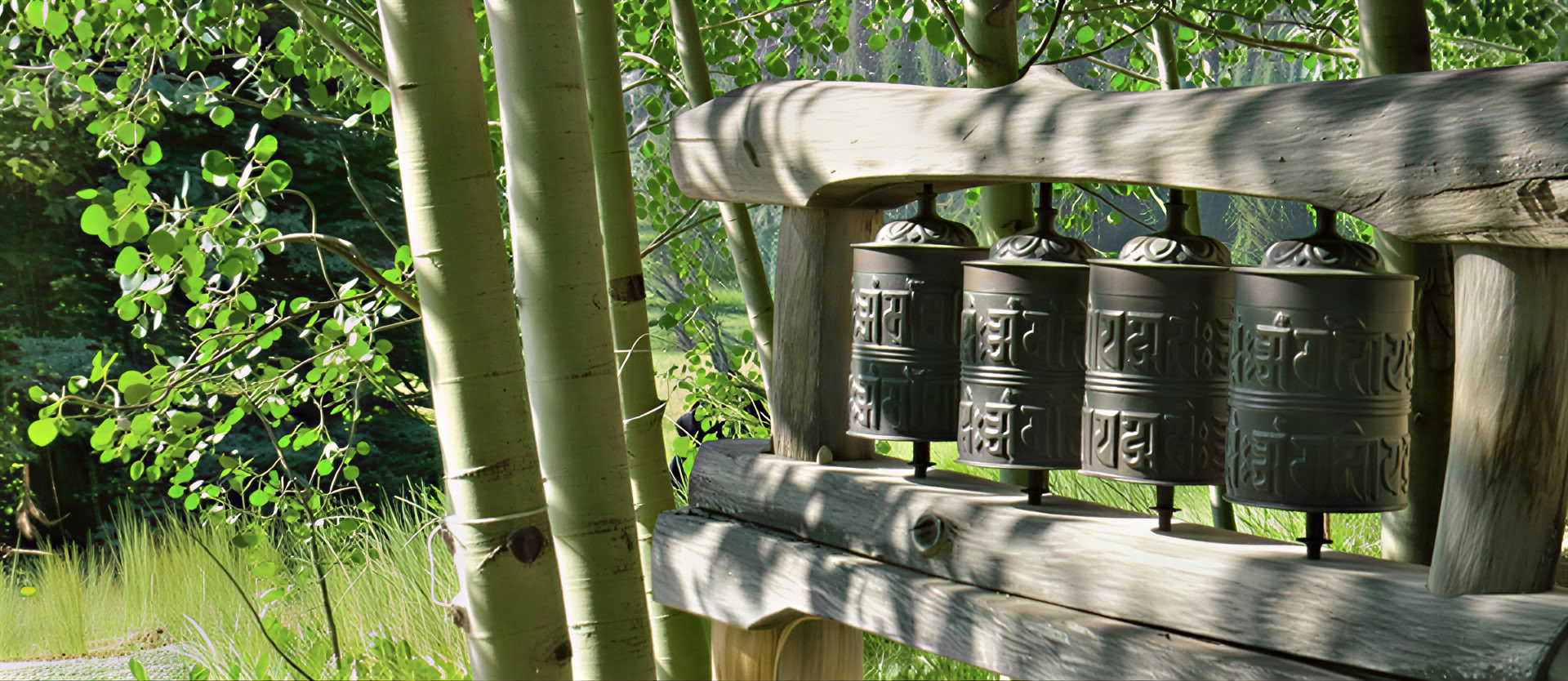 Being Nature: Embodying the Four Elements