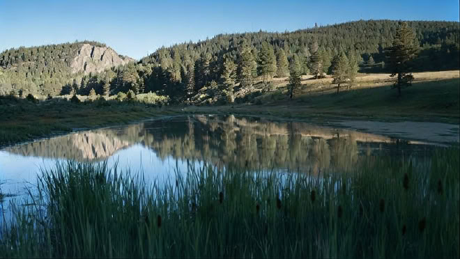 Between Spiritual Bypass and Stress Reduction: Mindfulness and Deep Psychological Work, An Intensive Retreat for Mental Health Professionals