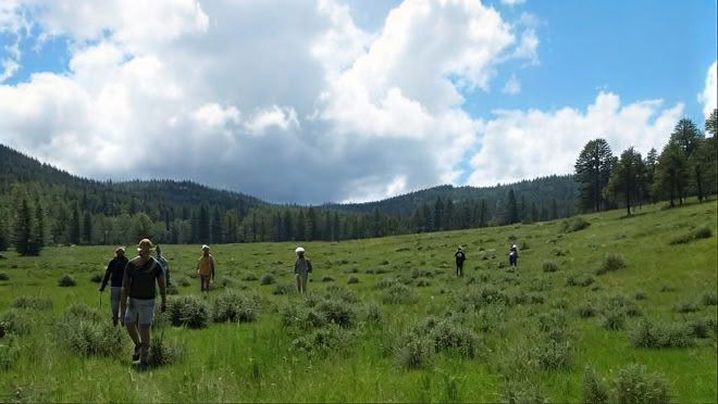 The Intertwining of Metta and Vipassana