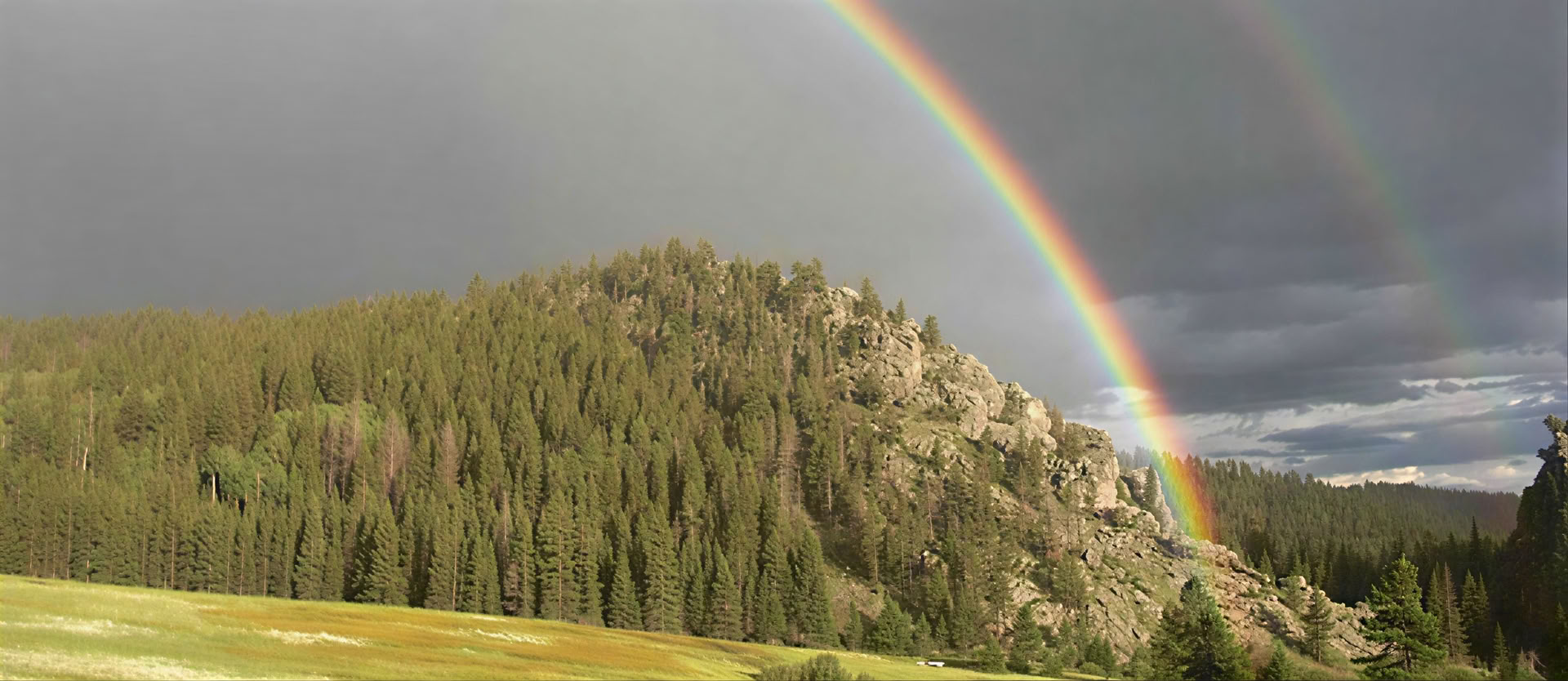 The Intertwining of Metta and Vipassana