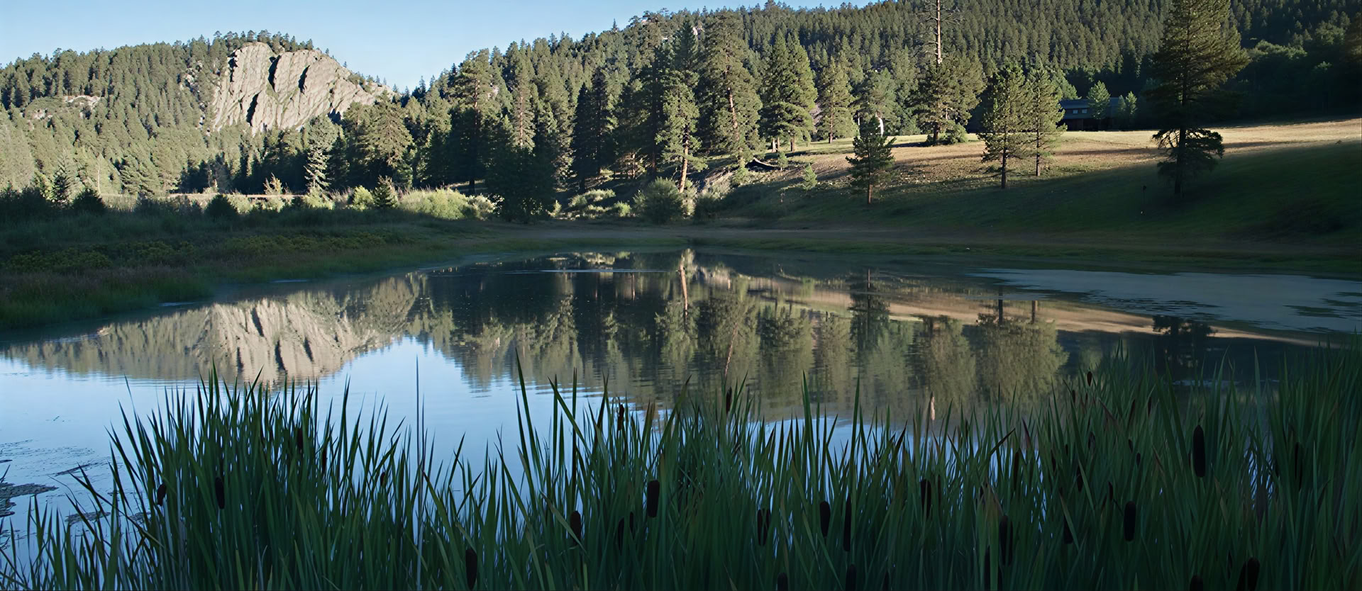 Meditation, Nature, and Awakening