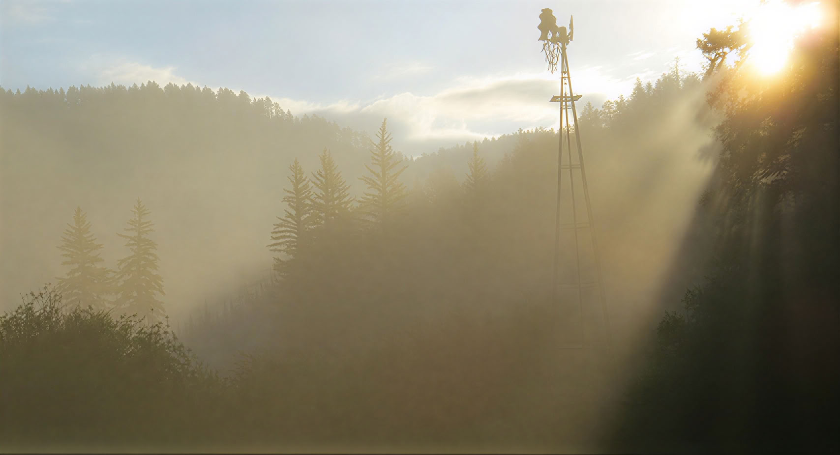 Cultivating Embodied Insight and Intuitive Wisdom through Mindfulness