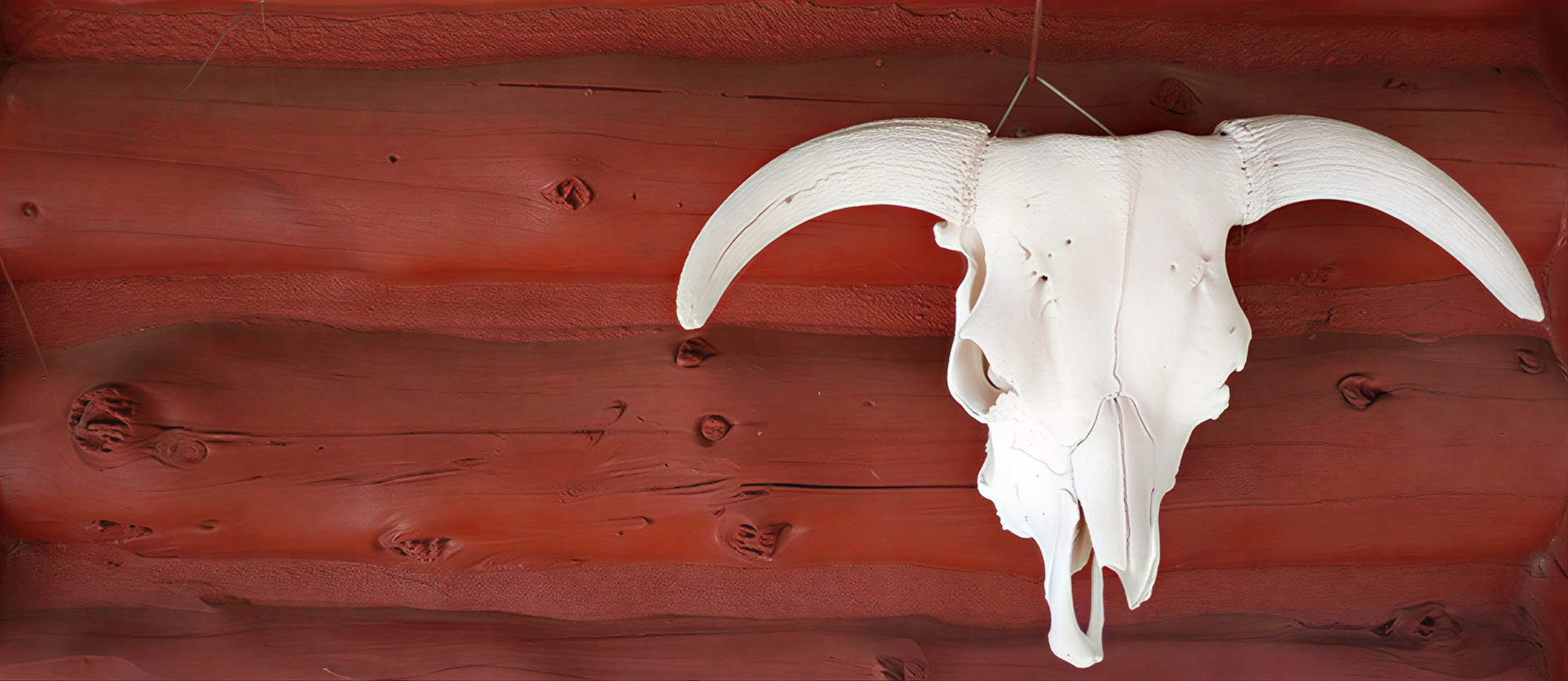 Sacred Sound, Insight, and Silence: Meditation and Music in the Deep Woods