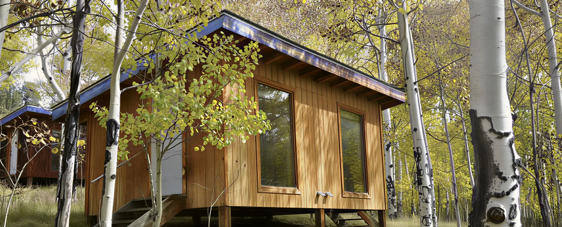 Elemental Pilgrimage: Awakening Through Intimacy with Trees, River, and Sky