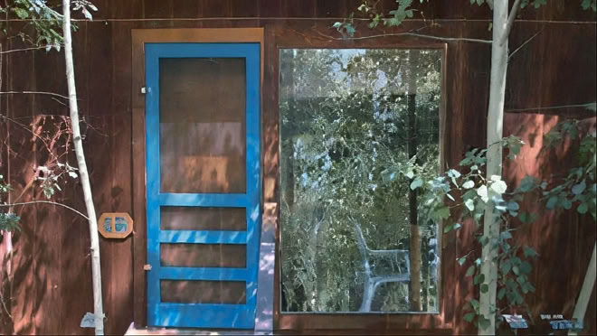 Having Gone to the Forest