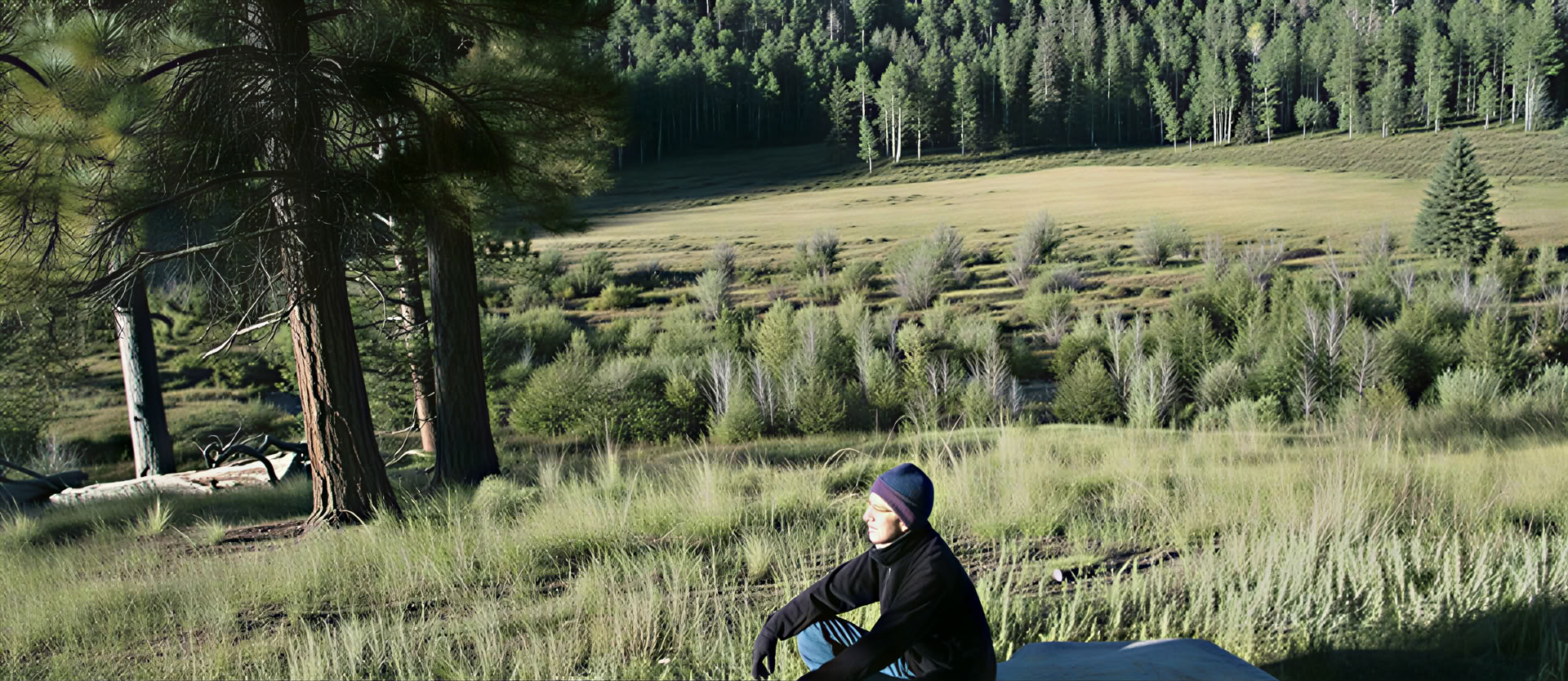 Land as Dharma Teacher (August)