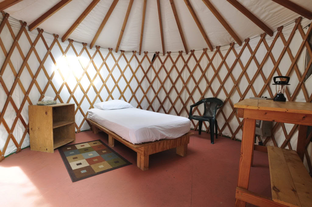 Belonging to the Earth: A BIPOC Insight Retreat in Nature