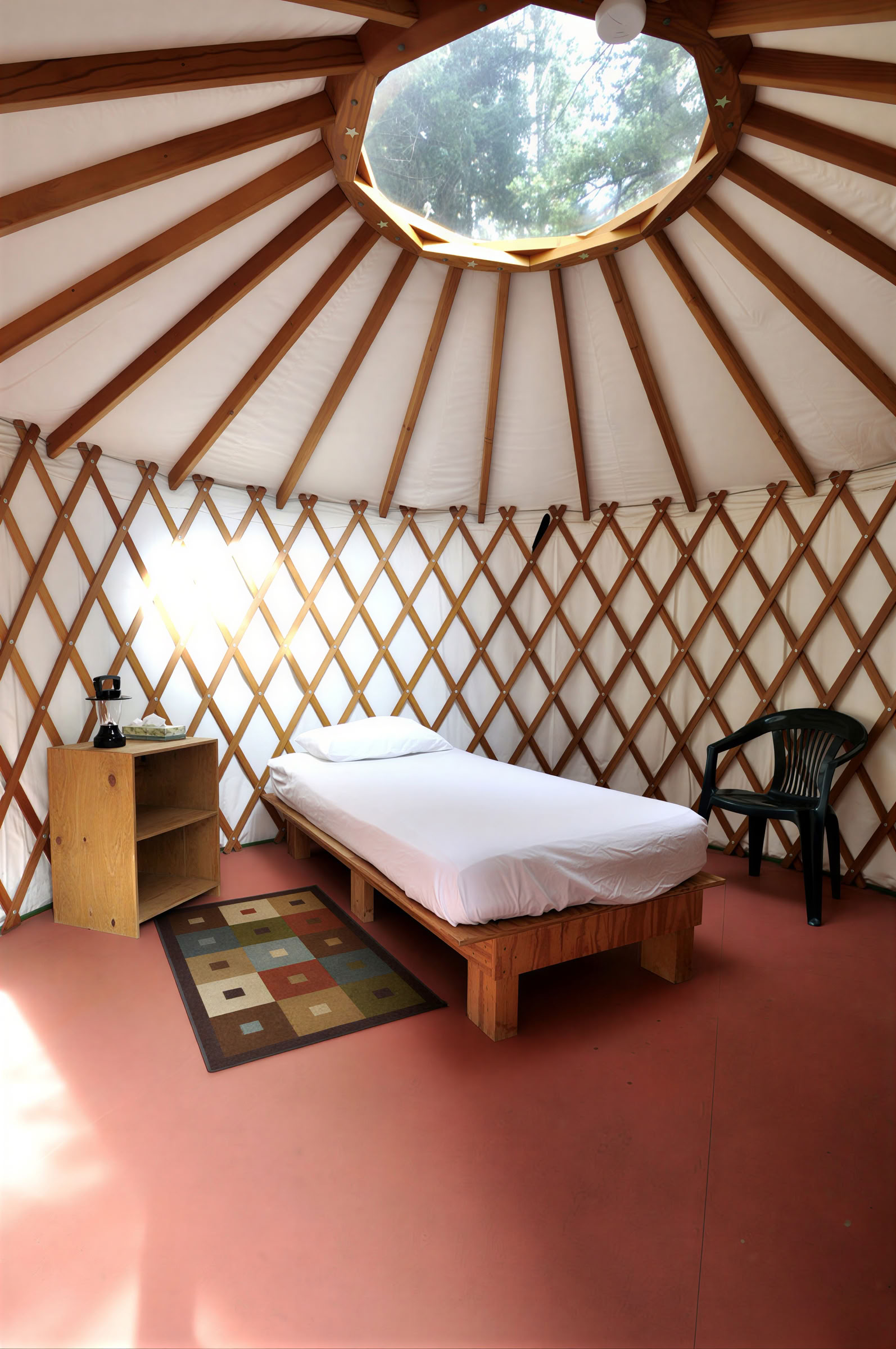 Belonging to the Earth: A BIPOC Insight Retreat in Nature