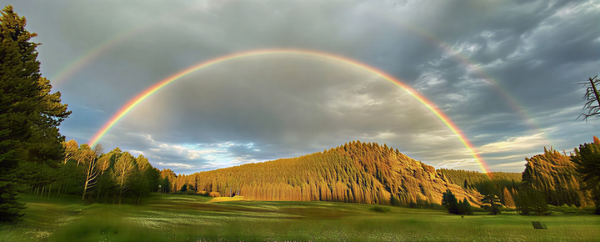 Belonging to the Earth: A BIPOC Insight Retreat in Nature