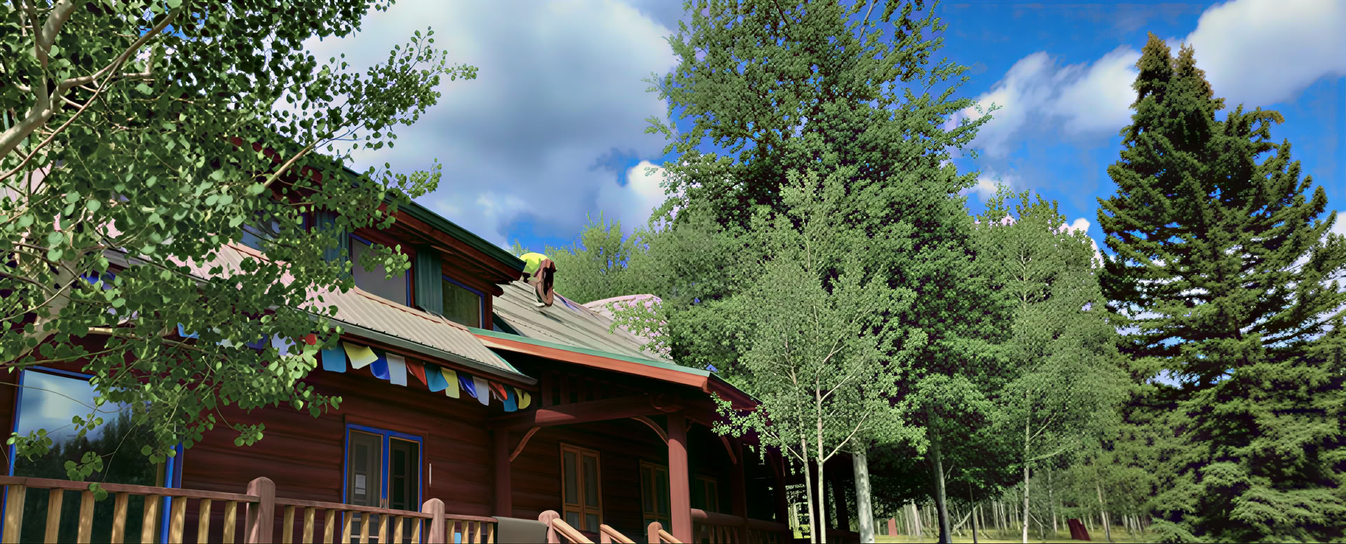 Insight and Resilience