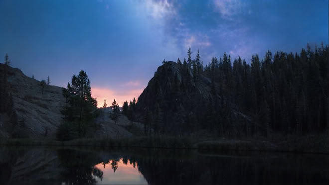 Insight and Resilience