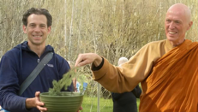 Insight and Resilience