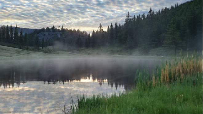 Deep Refuge: A LGBTQIA+ Community Retreat in Nature