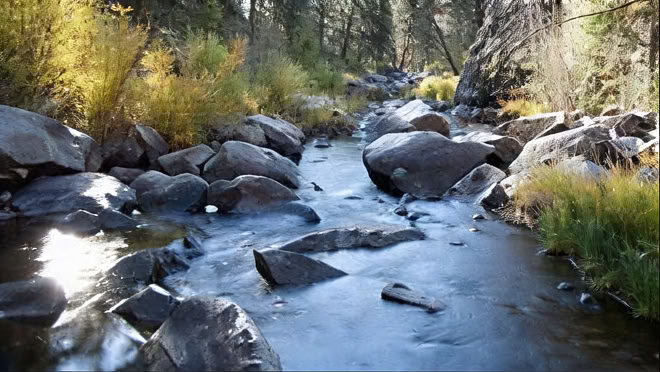 Between Spiritual Bypass and Stress Reduction: Mindfulness and Deep Psychological Work