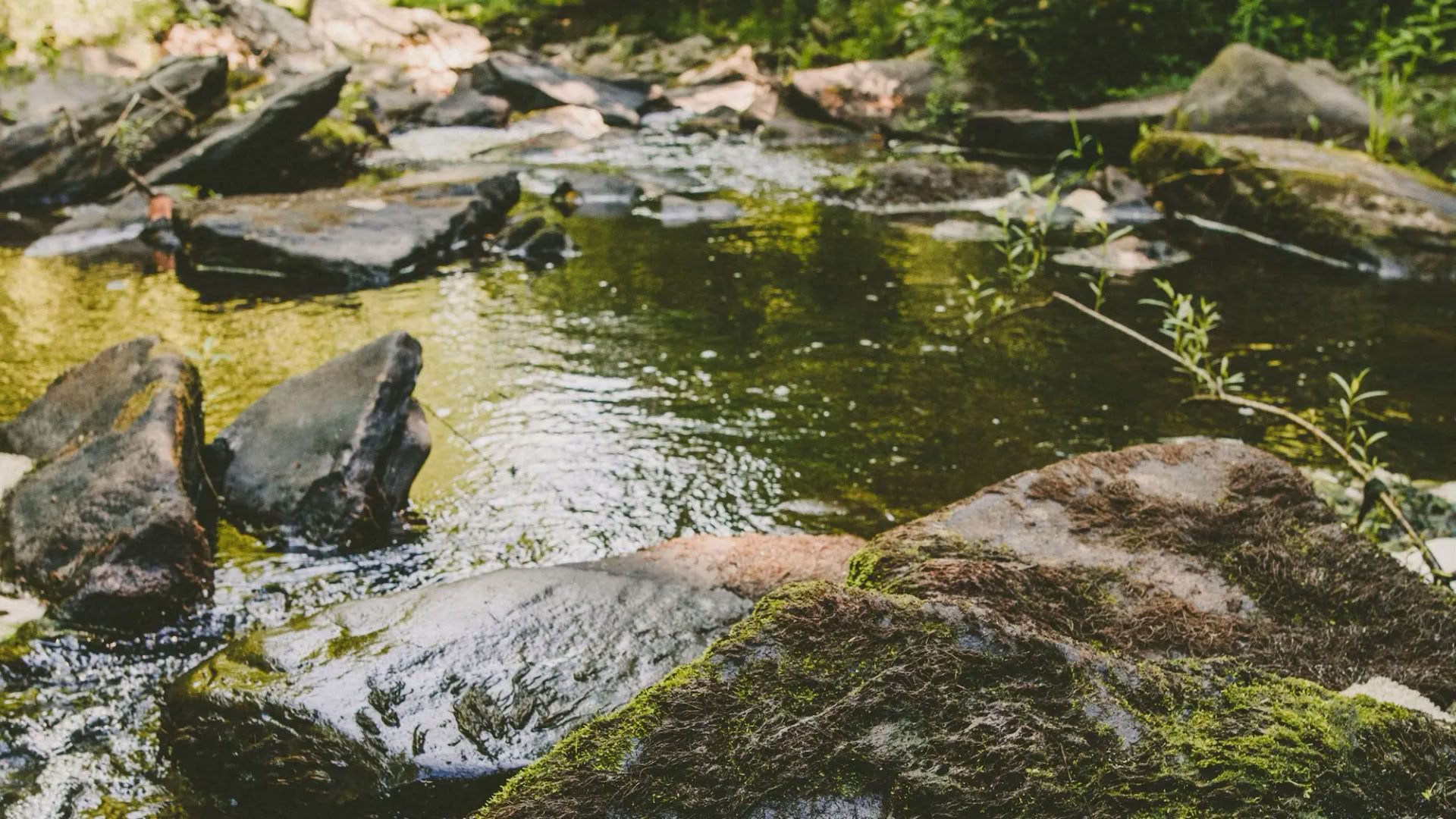 Spotlight on the Middle of Your Novel: A Generative Retreat