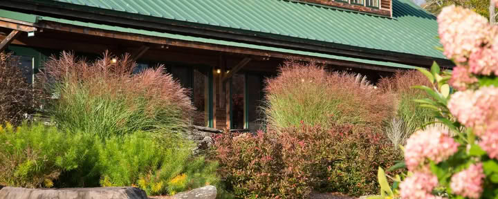 Early Readers and Chapter Books: A Creative Retreat