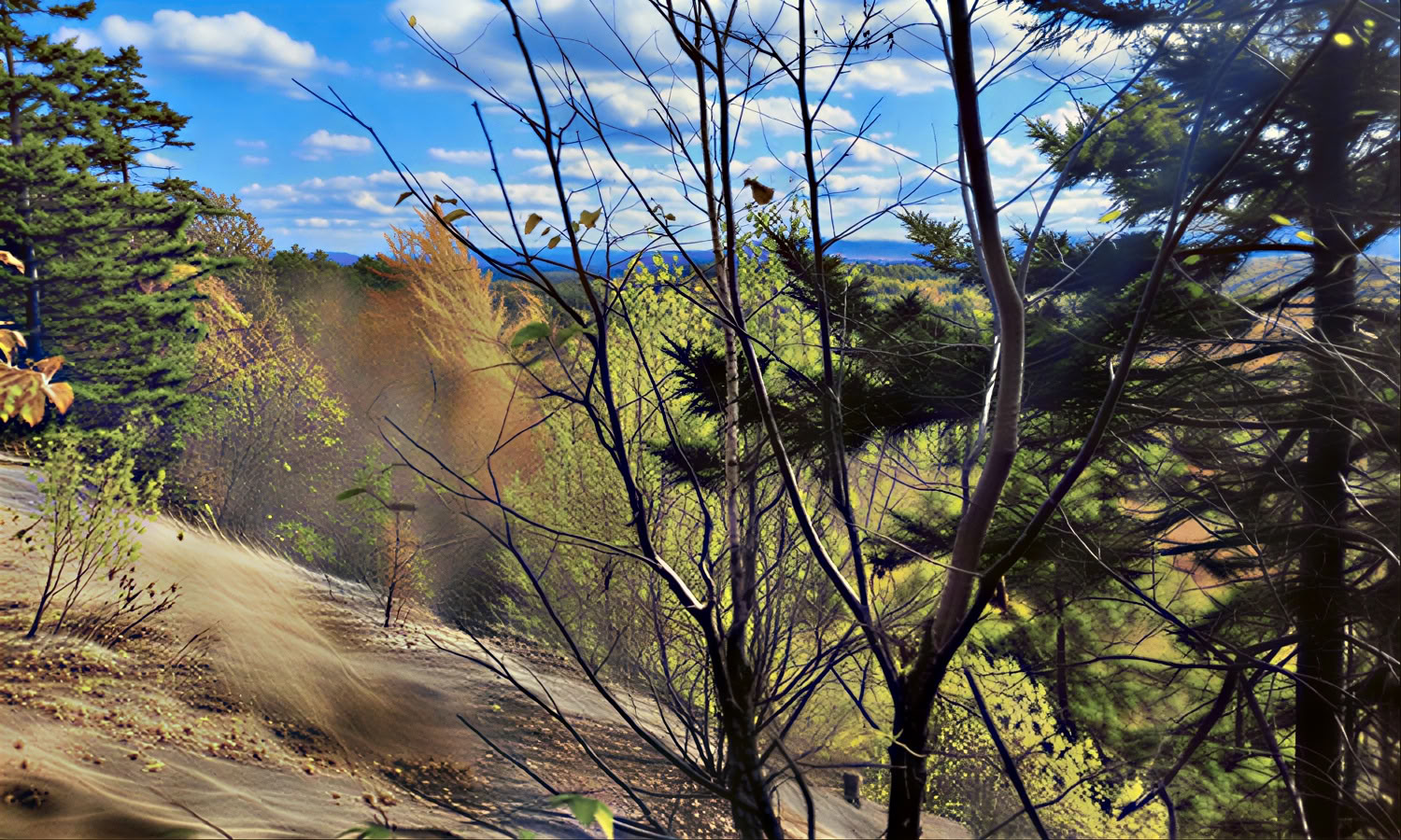 Wild Awakening: Embodying the Wisdom of the Elements (Residential Only)