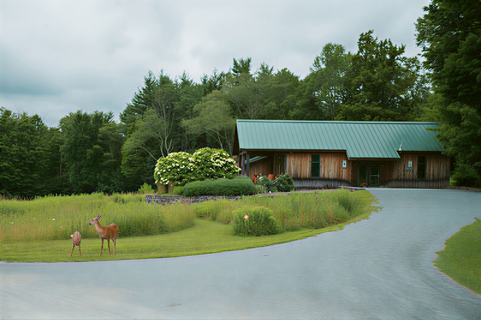 Community Retreat with Grace Lin and Debbi Michiko Florence (May 2026)