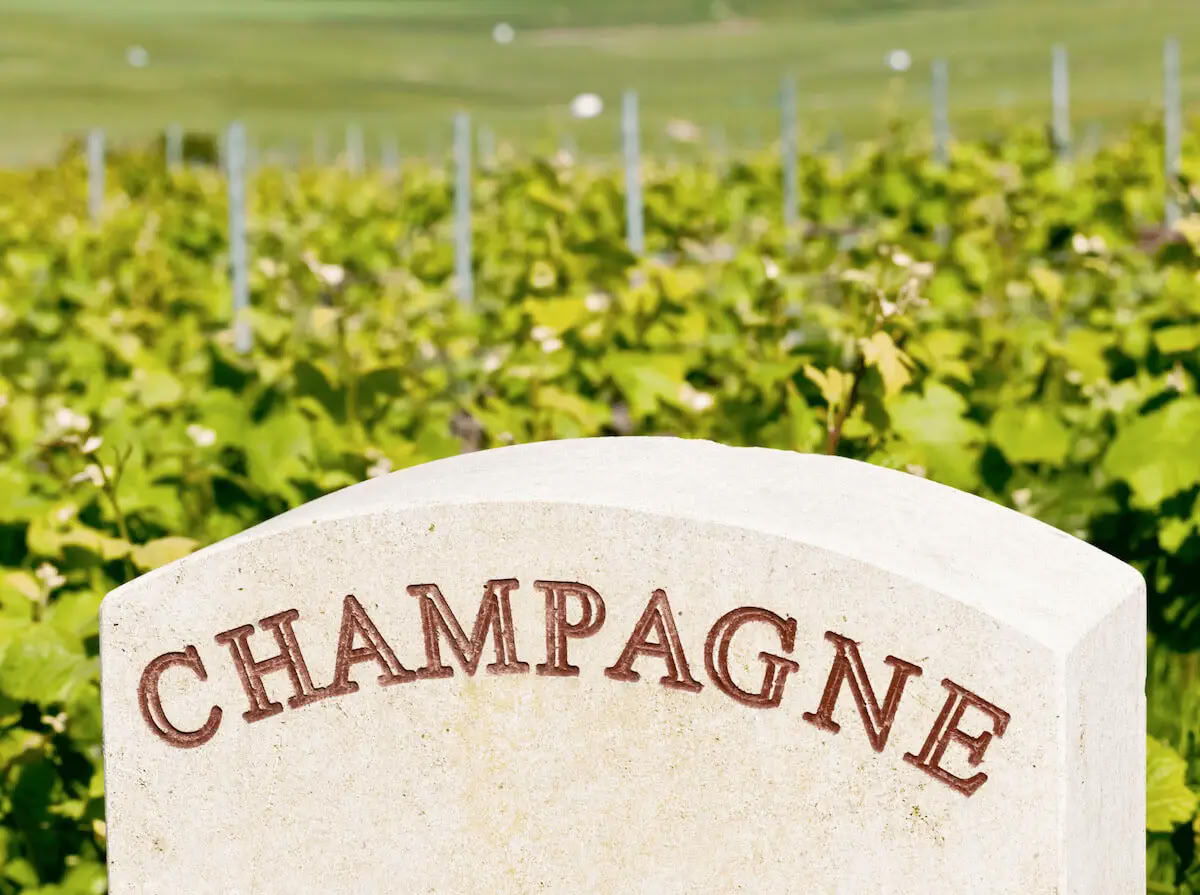 Champagne & Soul: Women’s Yoga + Champagne Retreat (Reims, France)