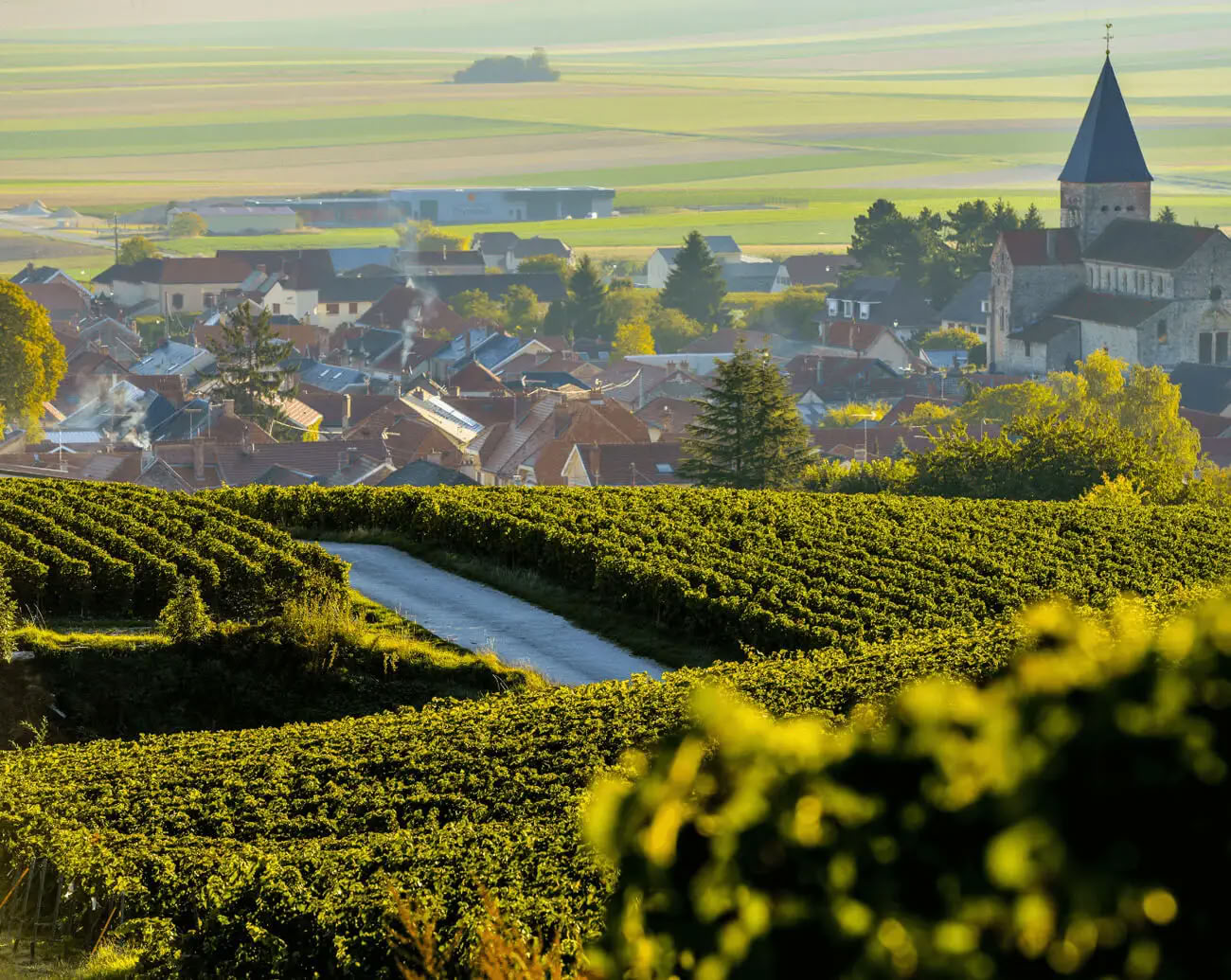 Champagne & Soul: Women’s Yoga + Champagne Retreat (Reims, France)