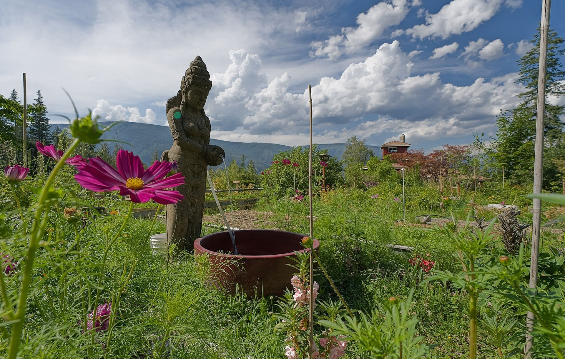Pachakuti Mesa Apprenticeship – Part IV: The Hummingbird's Ascent (Living the Mystery)