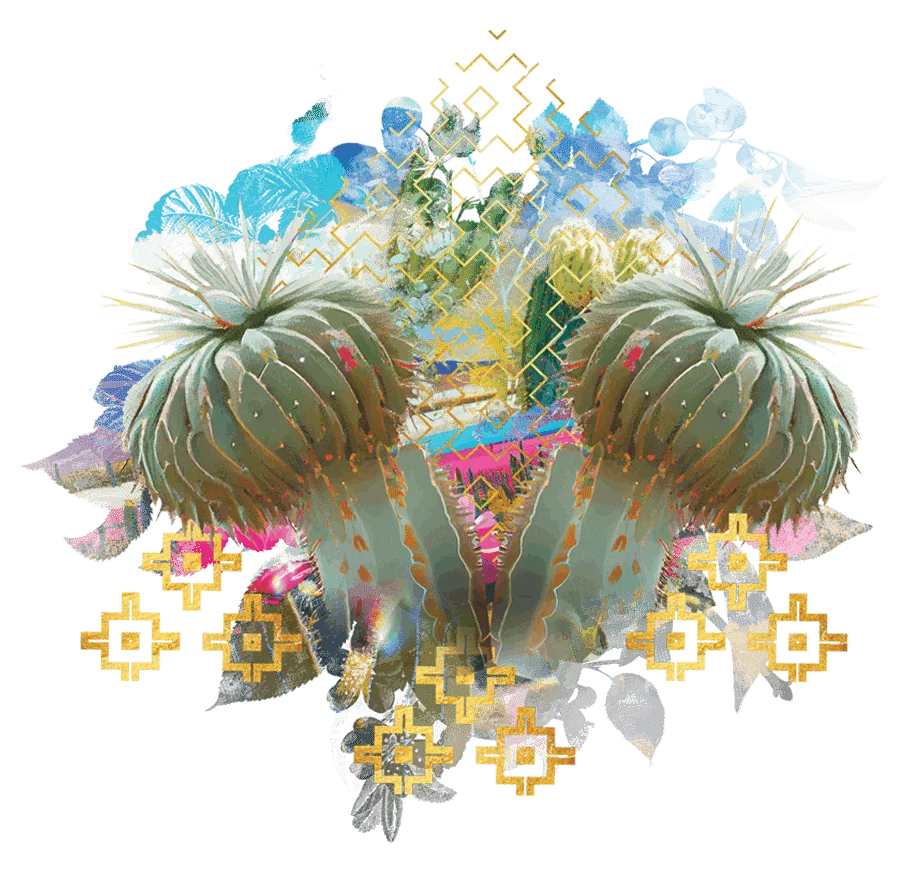 Pachakuti Mesa Apprenticeship – Part V: The Shamanic Self (Serving the Earth)
