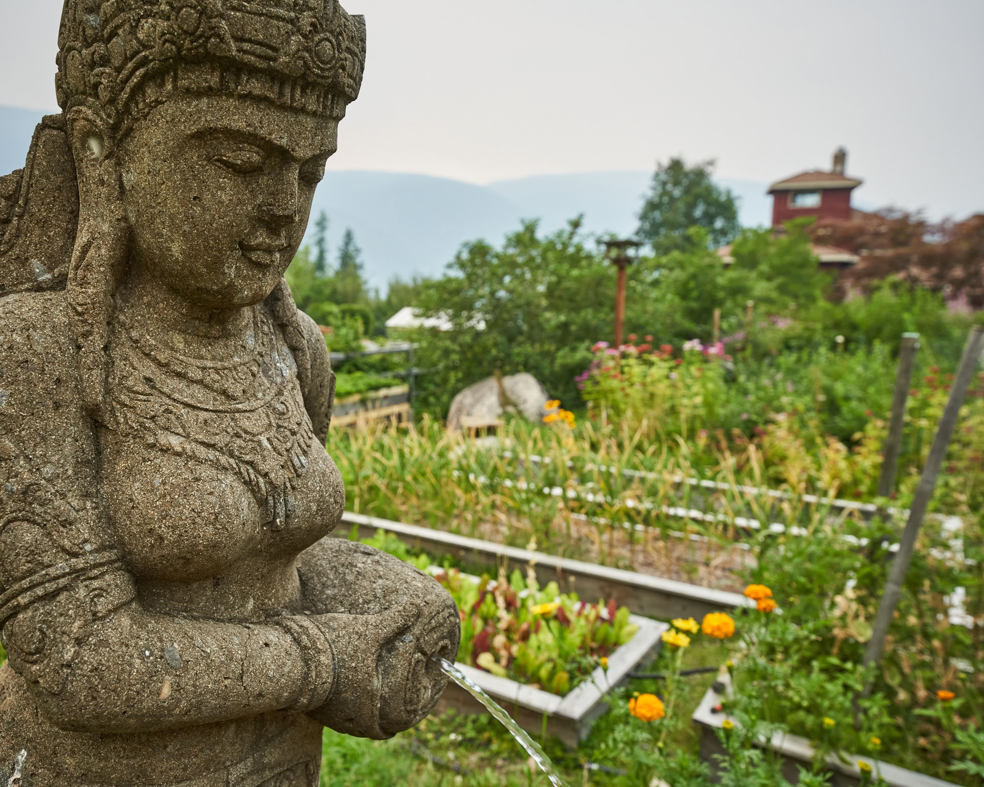 Ignite Your Creative Fire: Sacred Art & Medicine Mandala Retreat