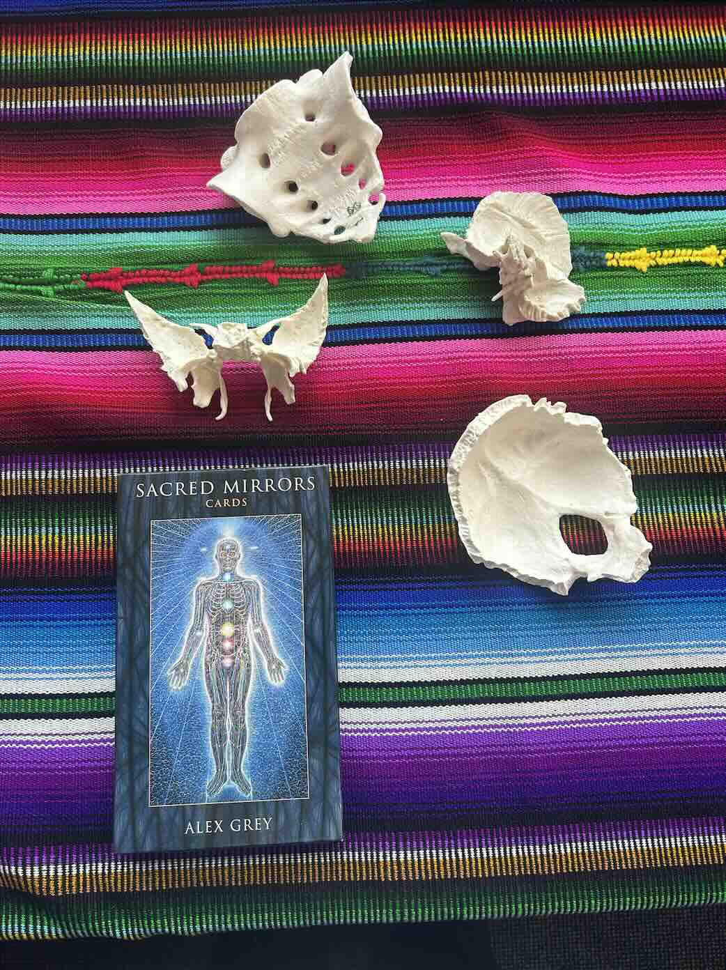 Stress, Trauma & Nervous System Regulation Course