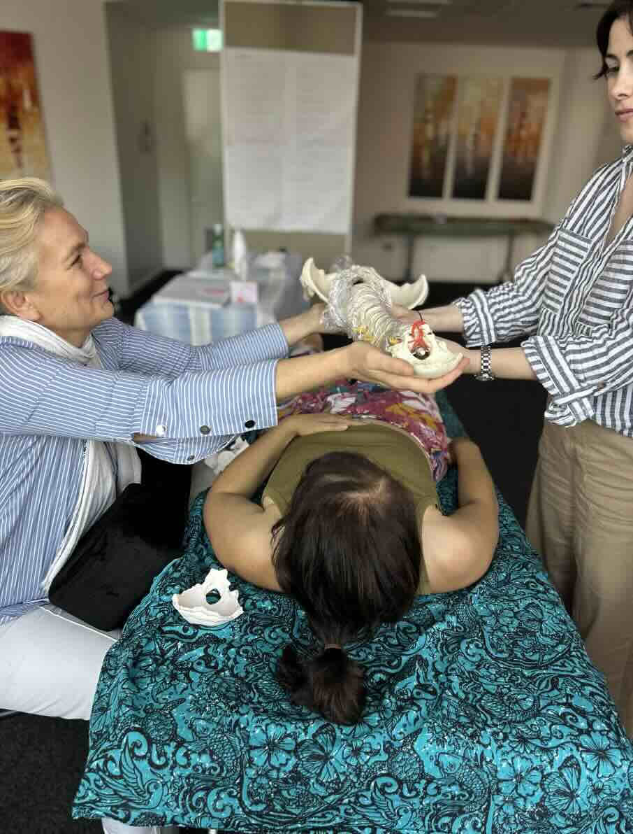 Stress, Trauma & Nervous System Regulation Course