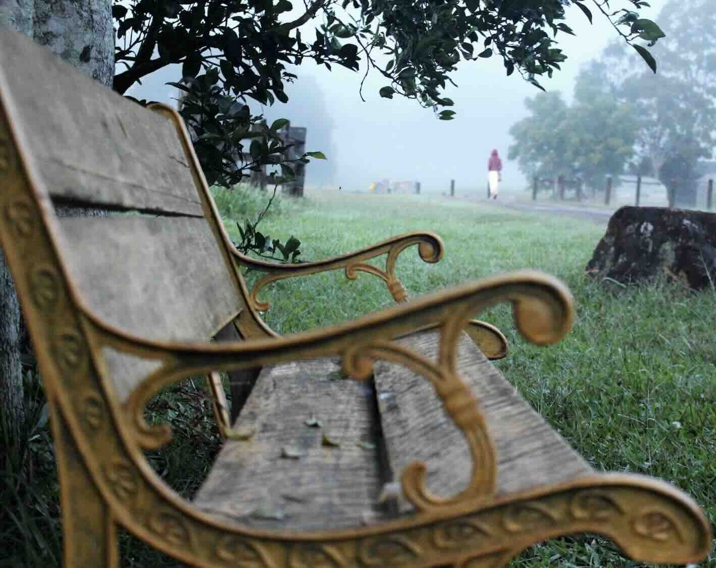 Transforming Grief Retreat