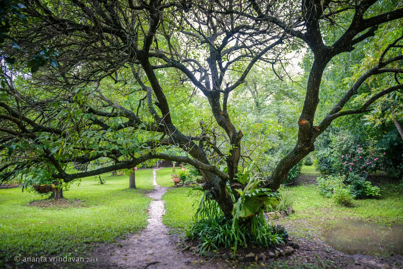 Transforming Grief Retreat