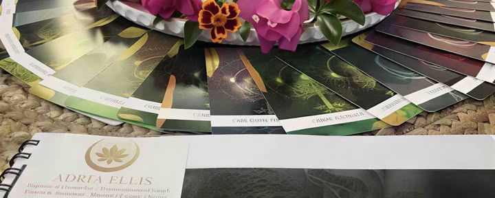 5 Elements Coaching Certificate