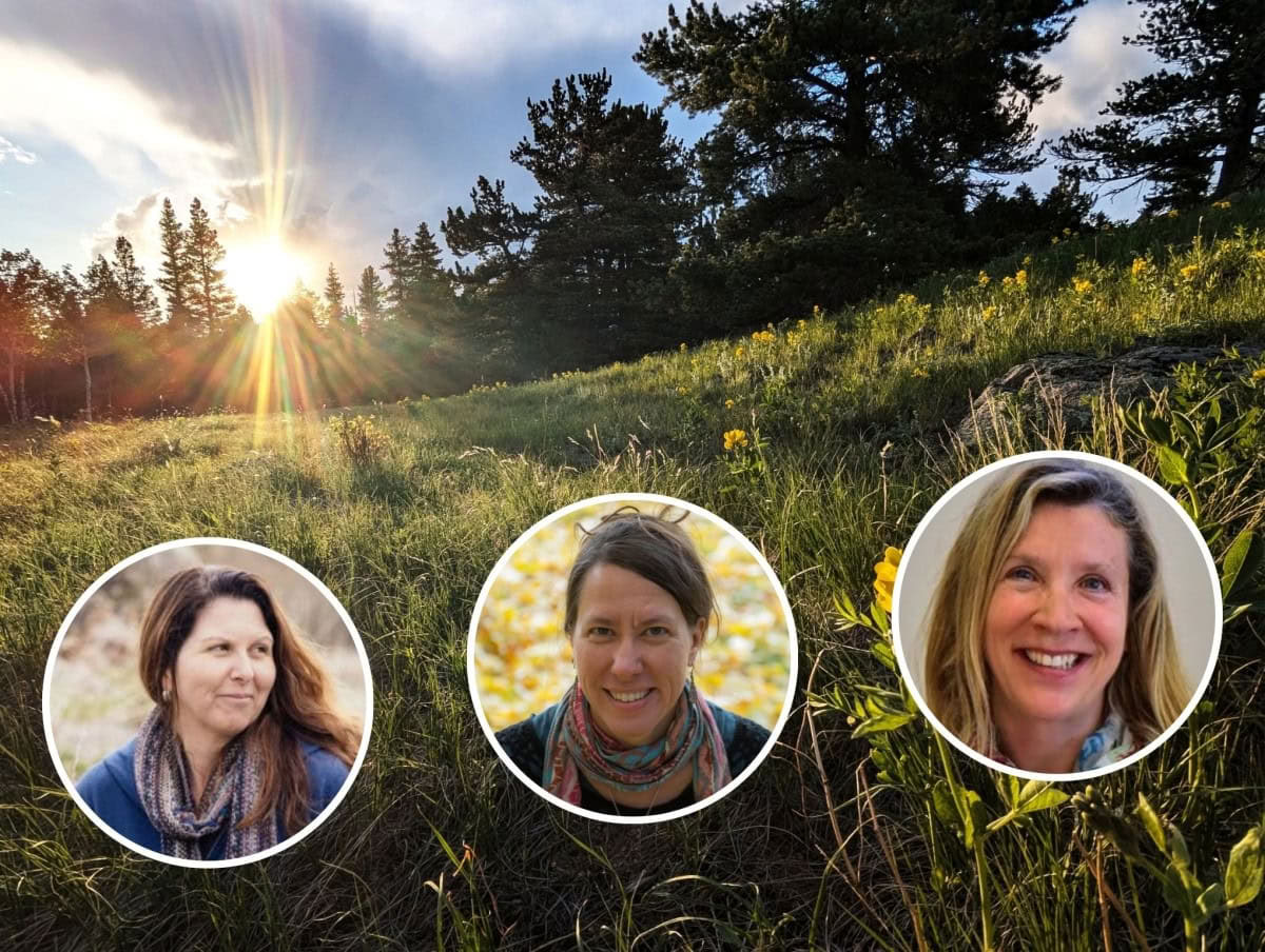 Healing the Whole: Embodying Interconnectedness