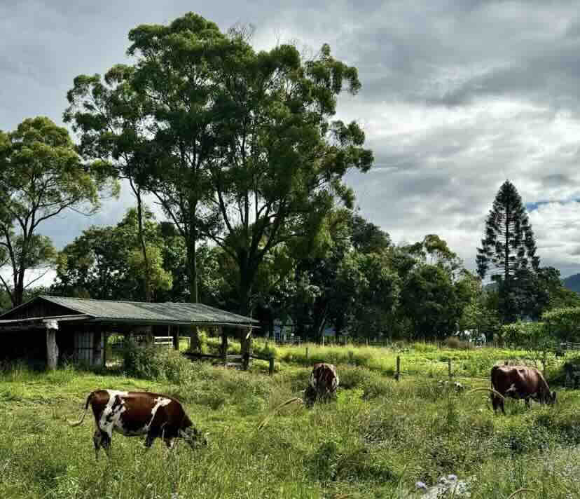 Kathartic Yogic Alchemy