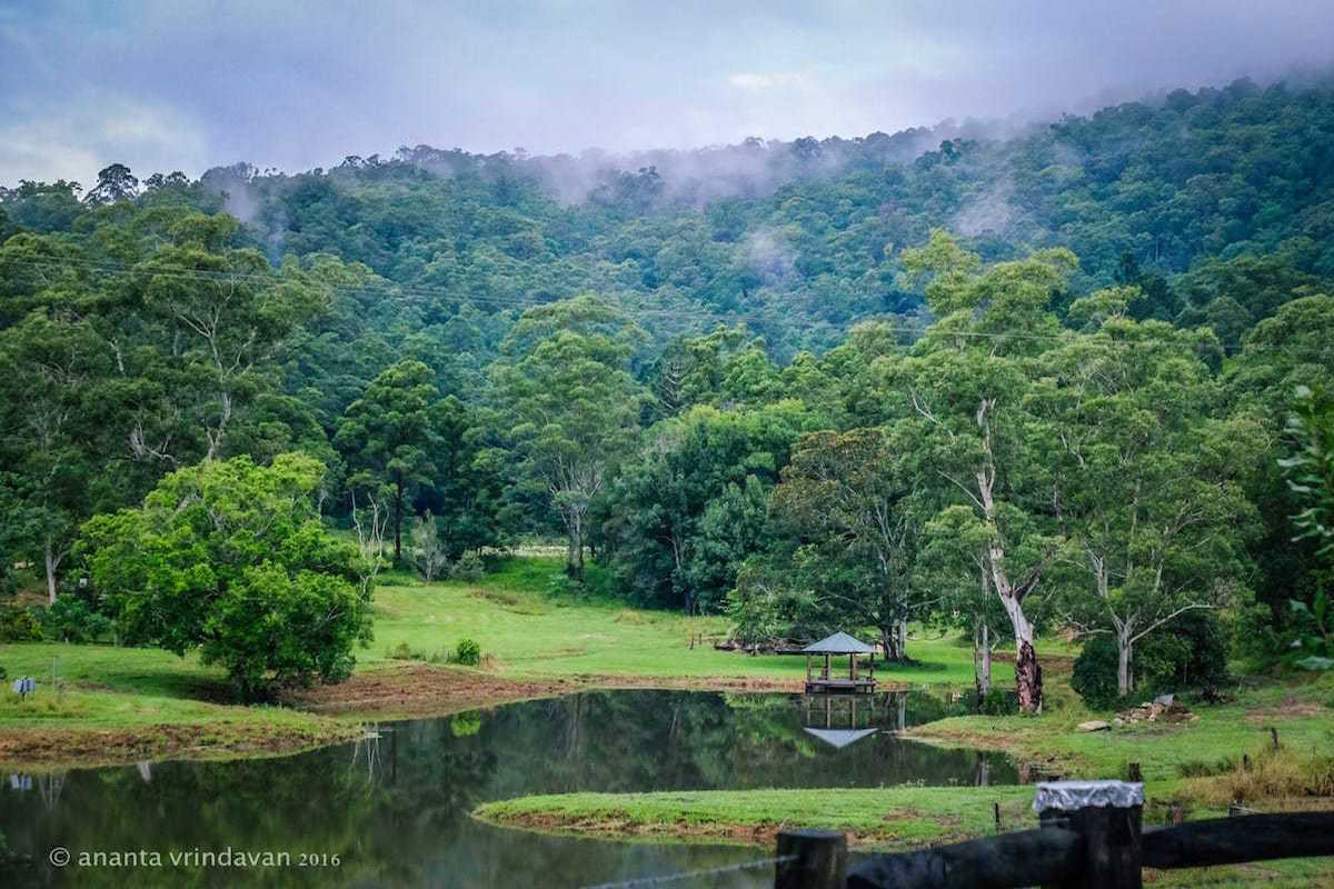 7 Day Yin Yoga Immersion for Yoga Teachers and Practitioners
